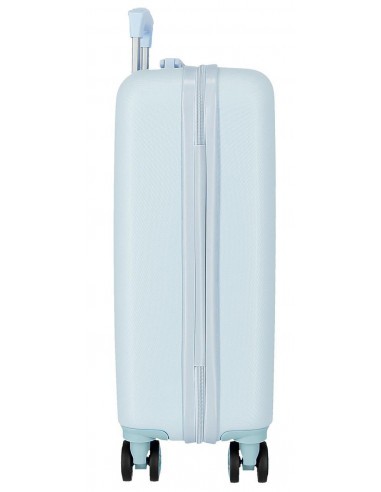 194B2C1C39B2E63F35AD09D0EBD0611D_ Trolley frozen 50cm 4r.